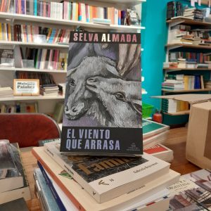 El viento que arrasa. Selva Almada