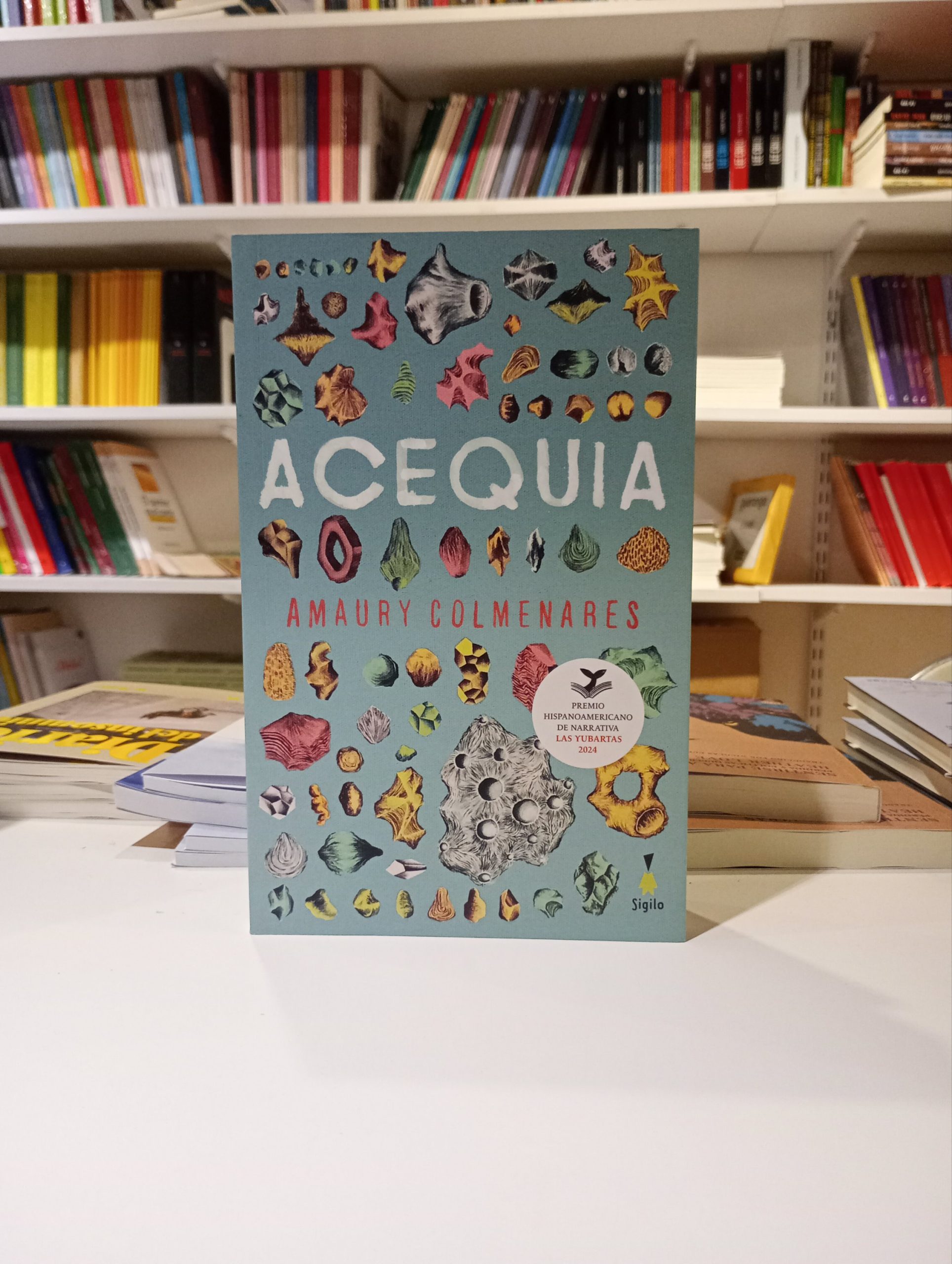 Acequia. Amaury Colmenares.