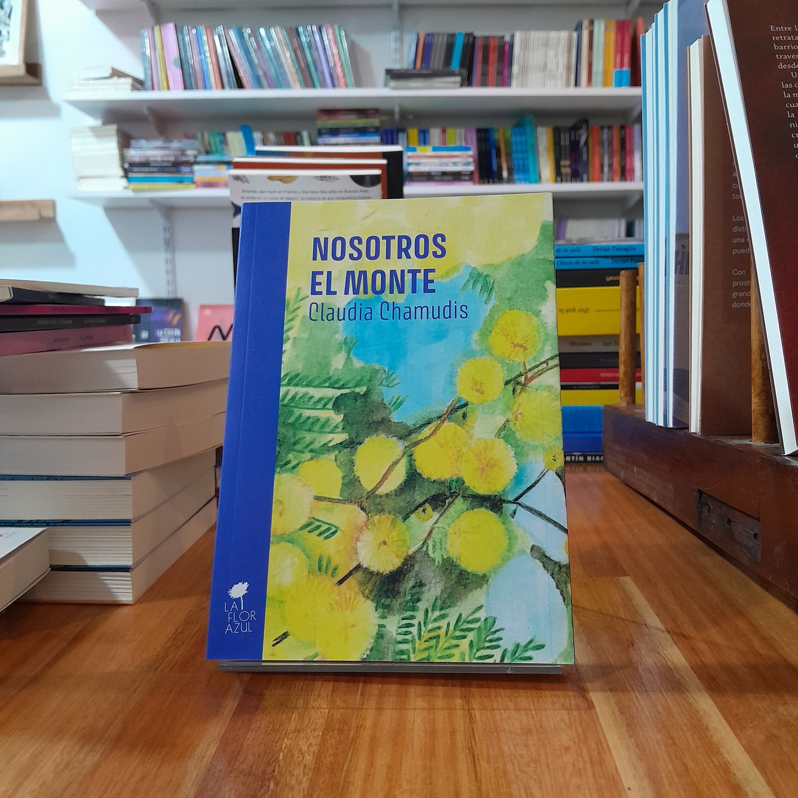 Nosotros el monte. Claudia Chamudis