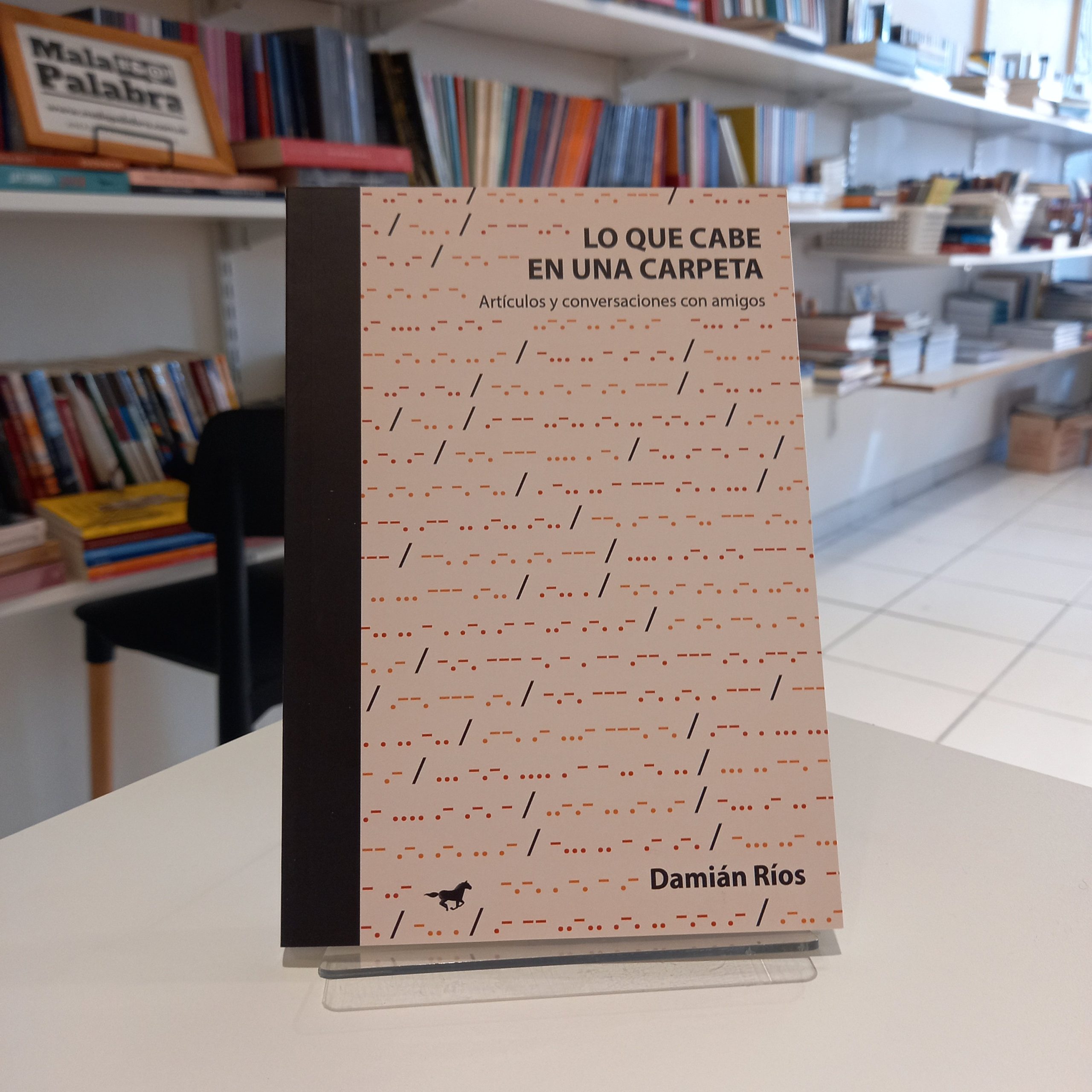 Lo que cabe en una carpeta
Artículos y conversaciones con amigos.
Damián Ríos.
